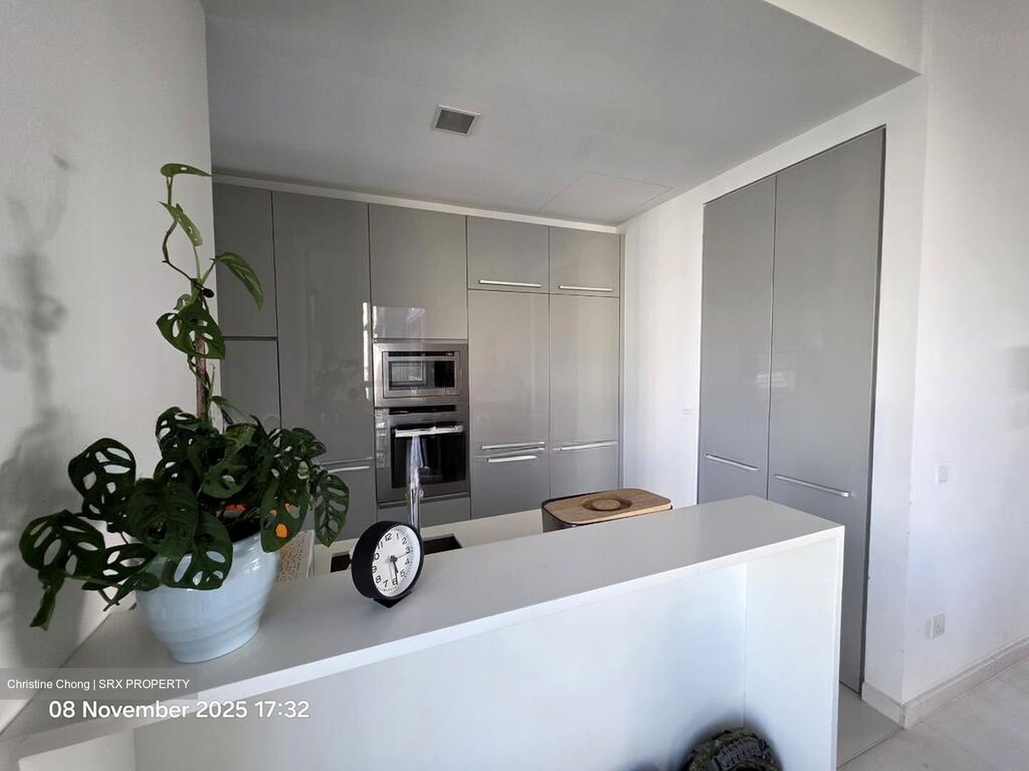 Sky@Eleven (D11), Condominium #501798861